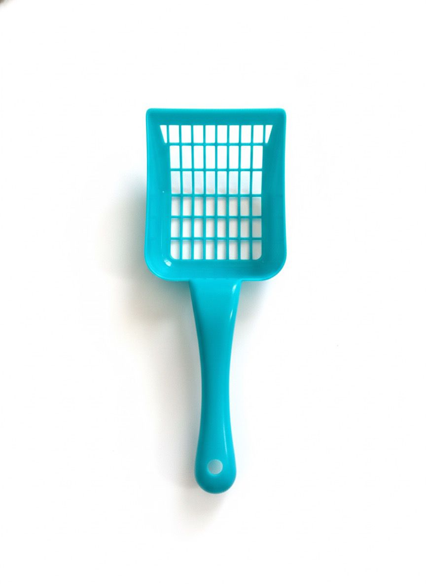 Arenero Bandeja Sanitaria para Gatos + Palita – Color Turquesa