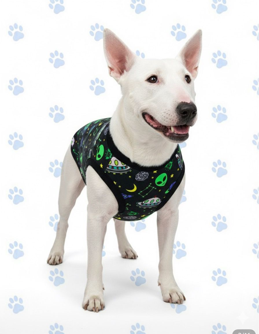 Pack de 2 Poleras Diseño Aliens para Mascotas