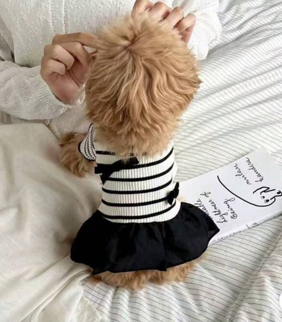 Vestido Mascota de Rayas falda negra