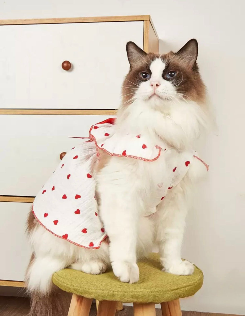 Vestido mini corazones rojos con lazo