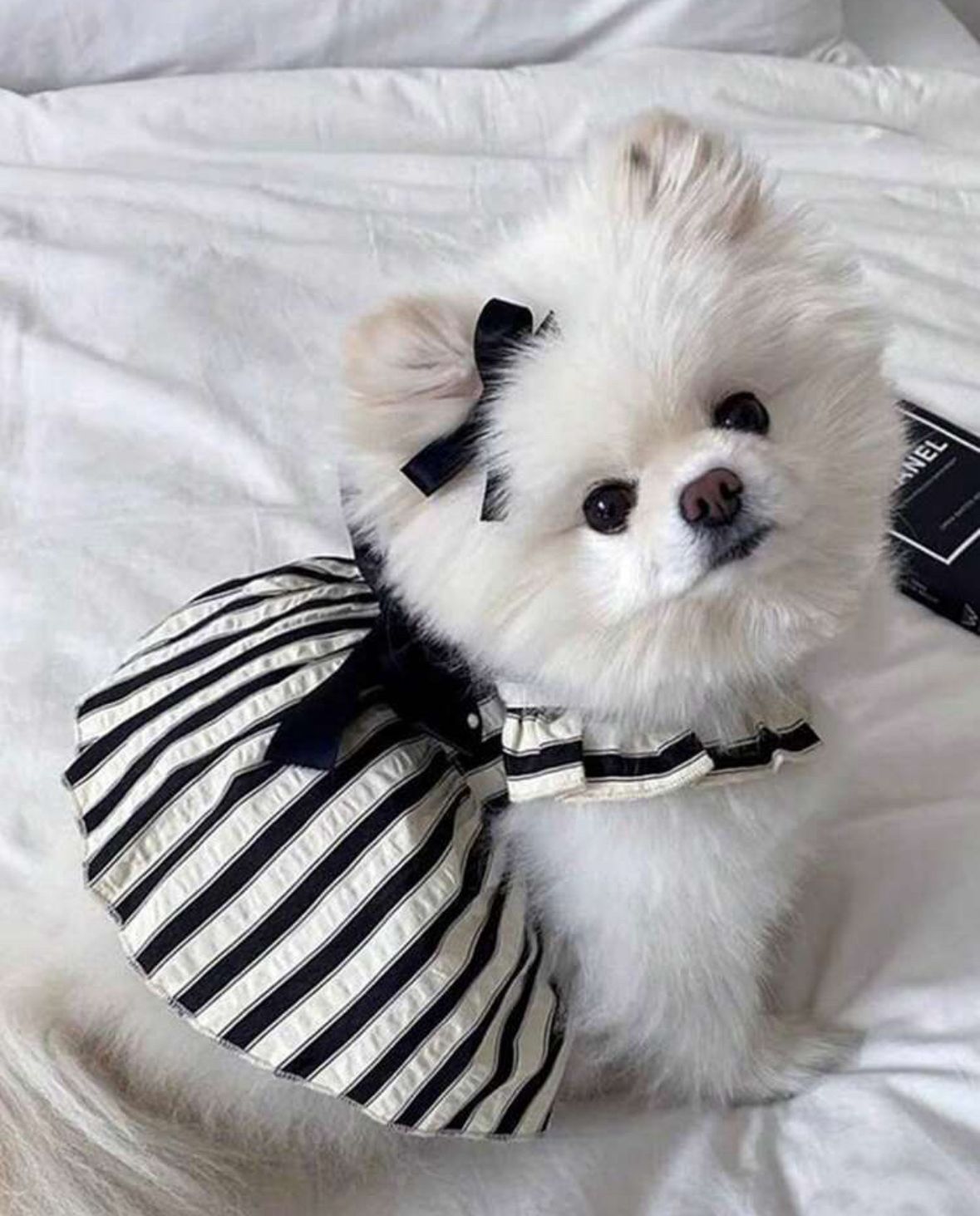 Vestido Clasico de Rayas