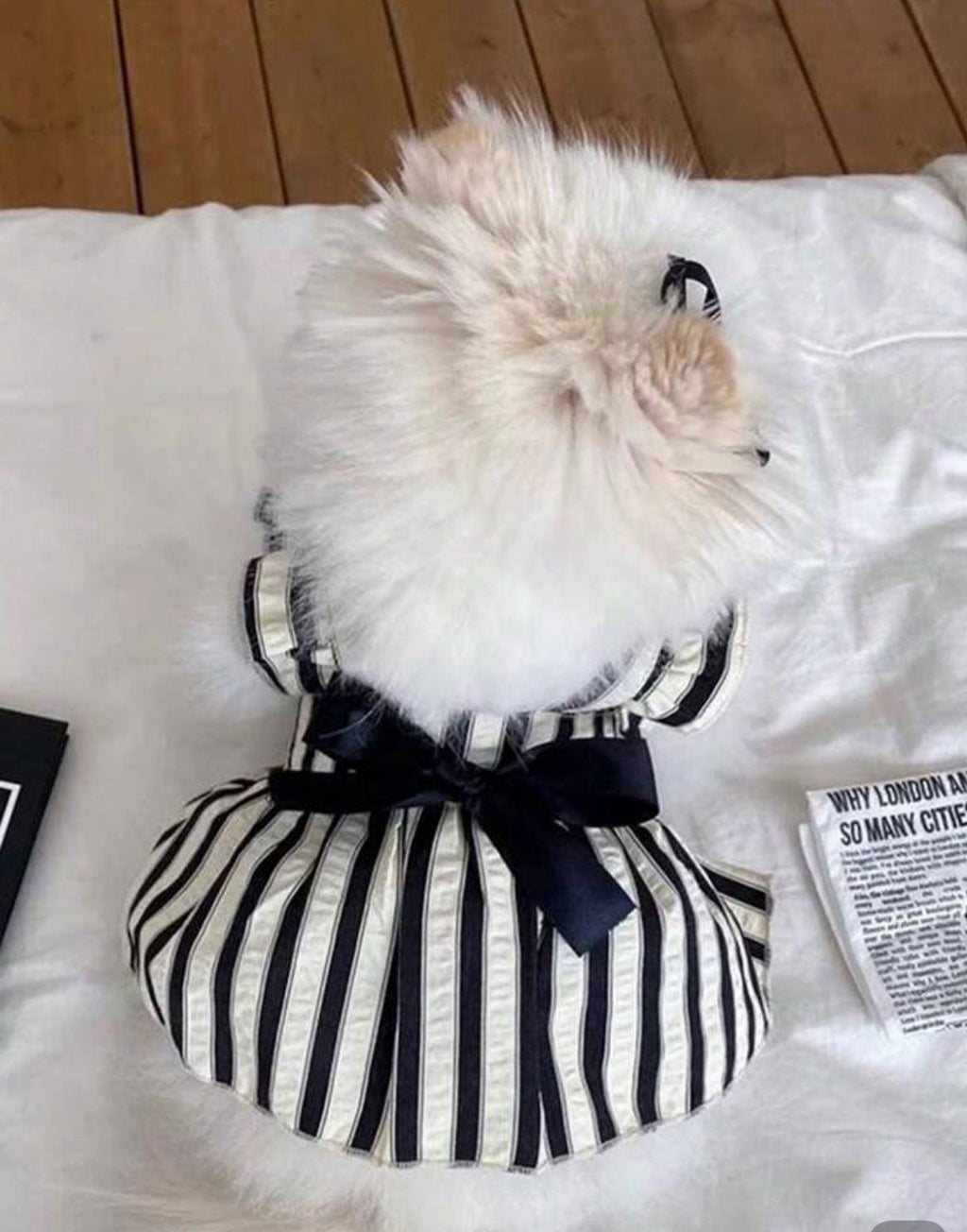 Vestido Clasico de Rayas