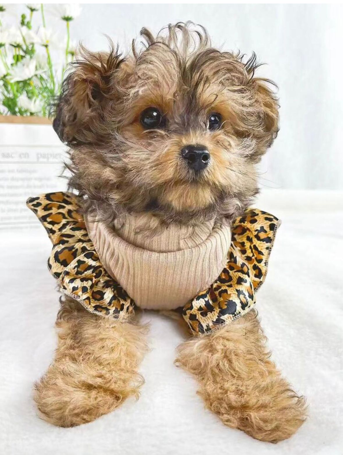 Vestido beige falda animal print