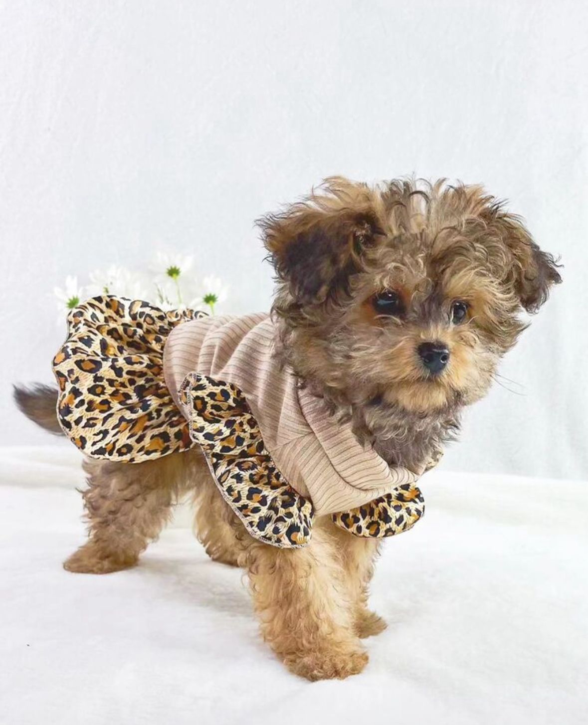 Vestido beige falda animal print
