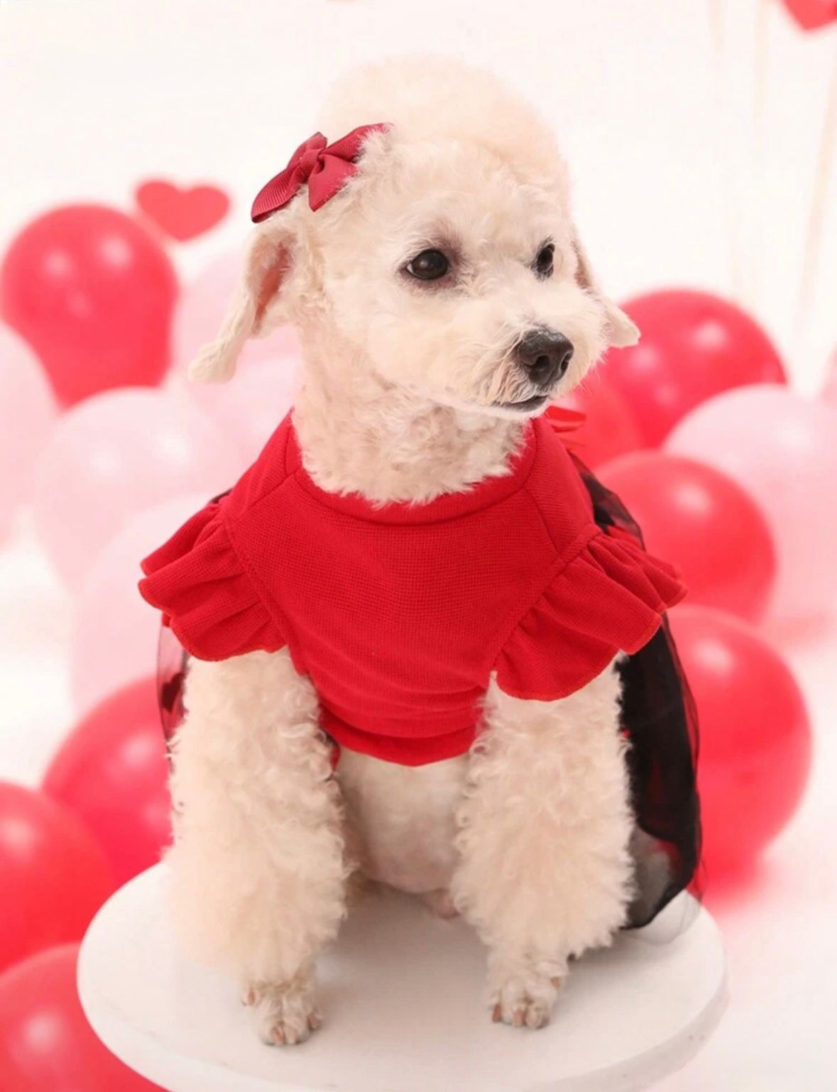 Vestido Mascota con tutu negro y rojo corazones