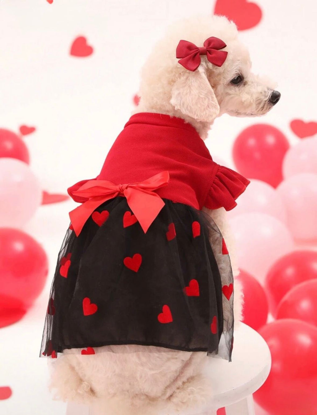 Vestido Mascota con tutu negro y rojo corazones