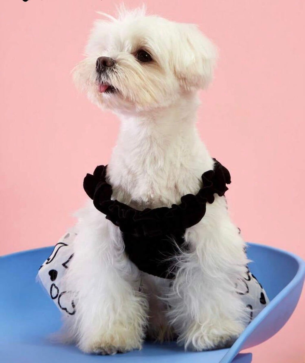 Vestido Mascotas con tutu negro y beige y corazones
