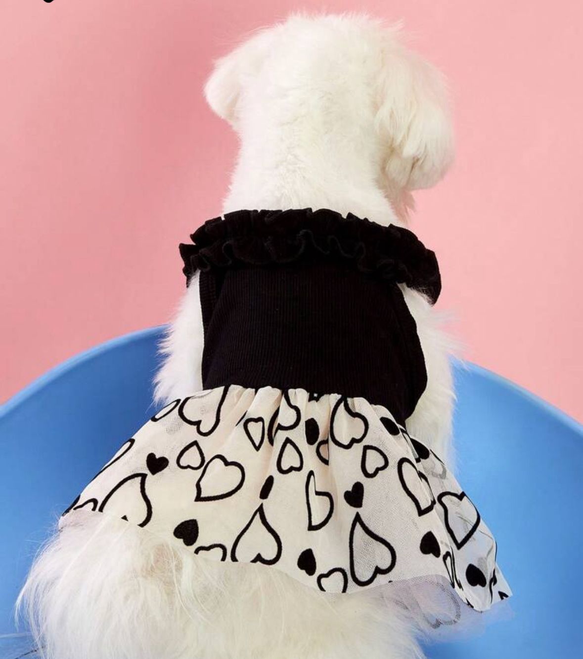 Vestido Mascotas con tutu negro y beige y corazones