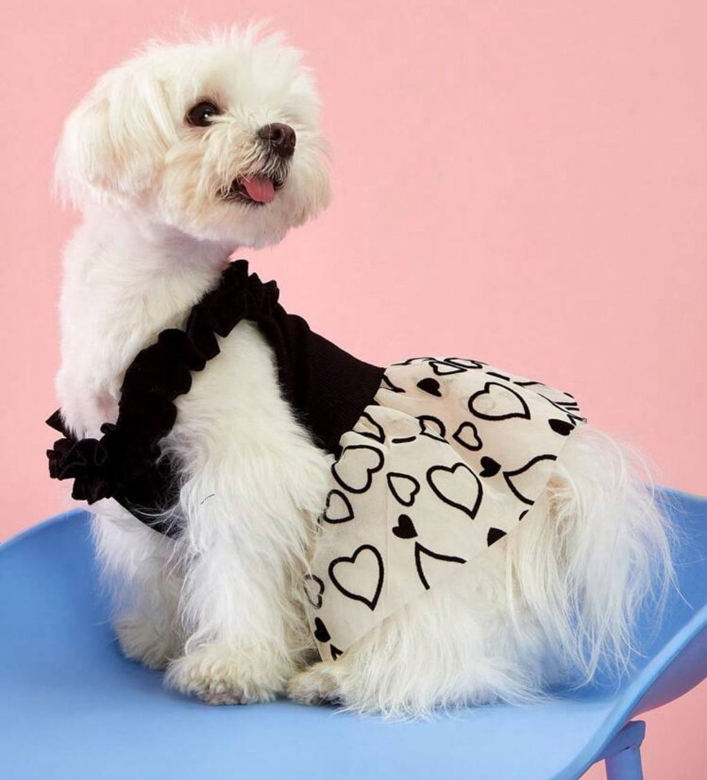 Vestido Mascotas con tutu negro y beige y corazones