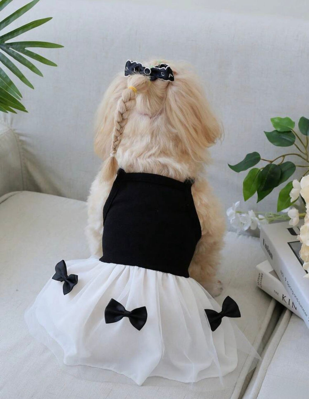 Vestido Mascota con tutu negro y blanco con lazos