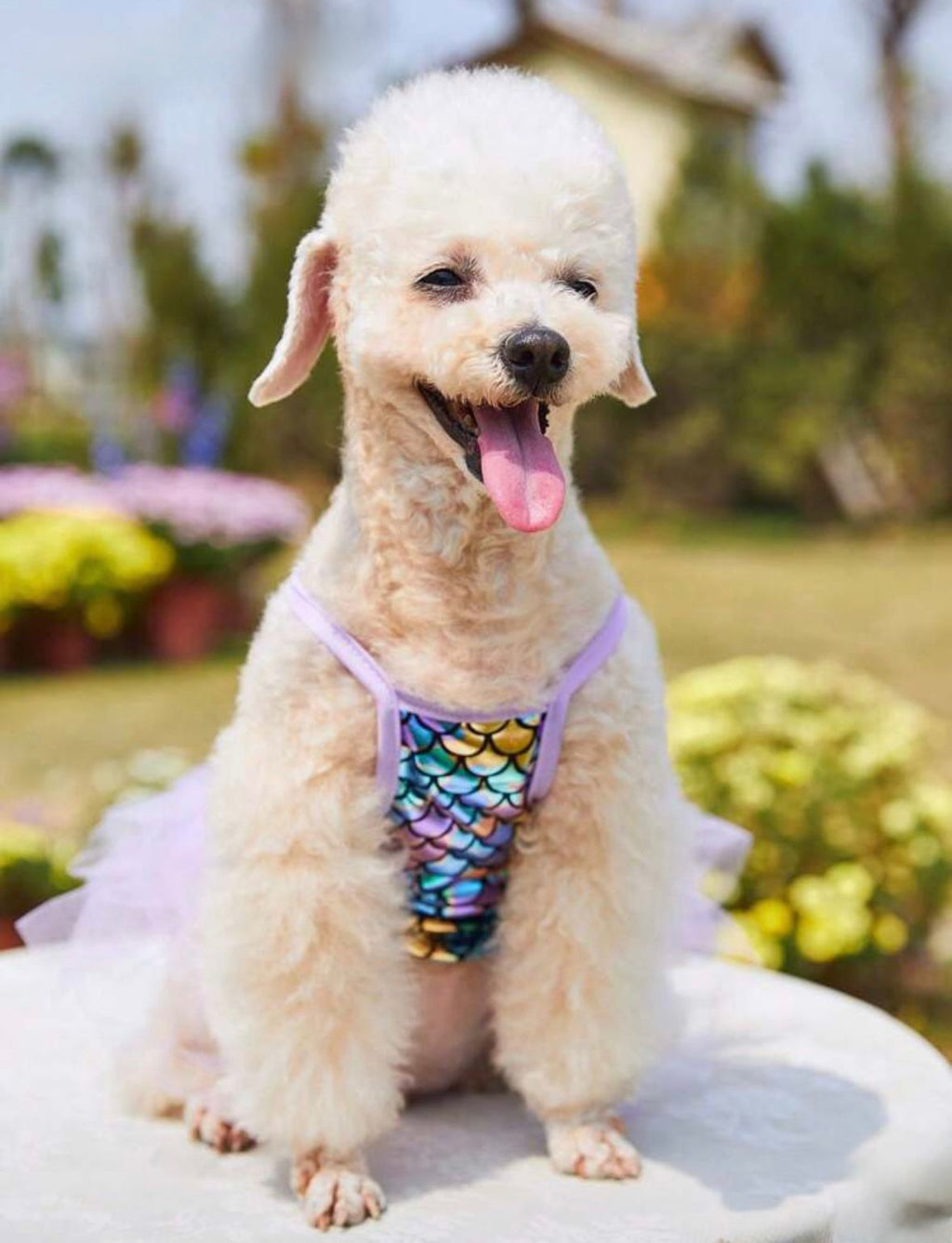 Vestido mascota con tutu y estampado de sirena