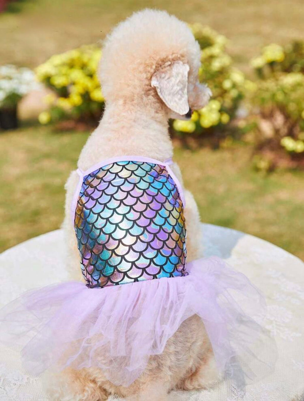 Vestido mascota con tutu y estampado de sirena