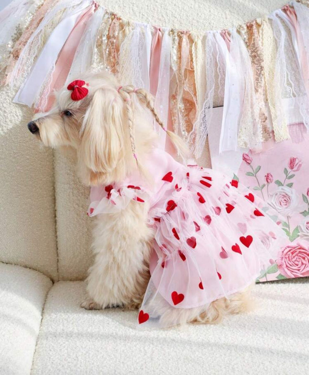 Vestido Mascota con tutu Rosado y corazones