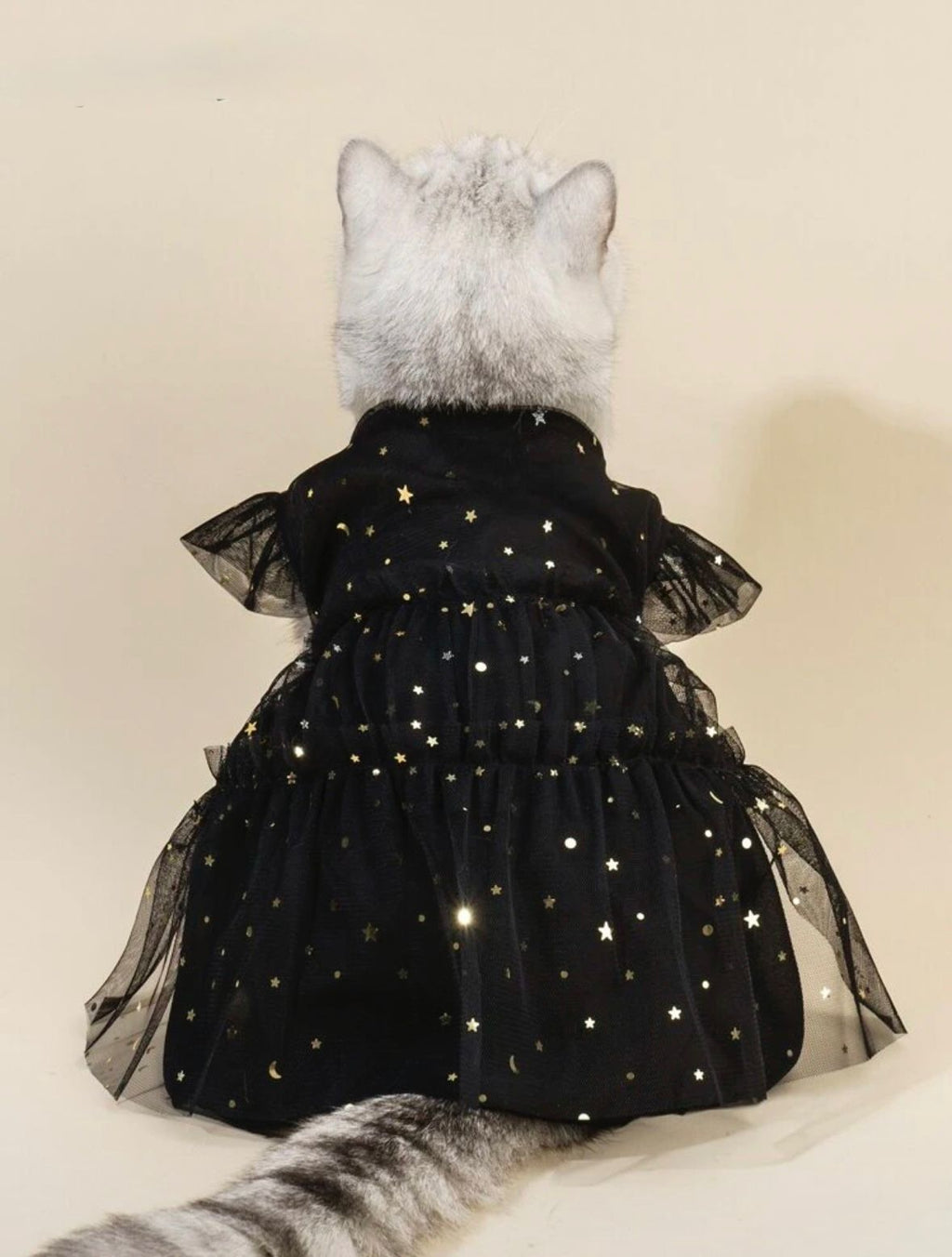 Vestido tutu negro estrellas doradas