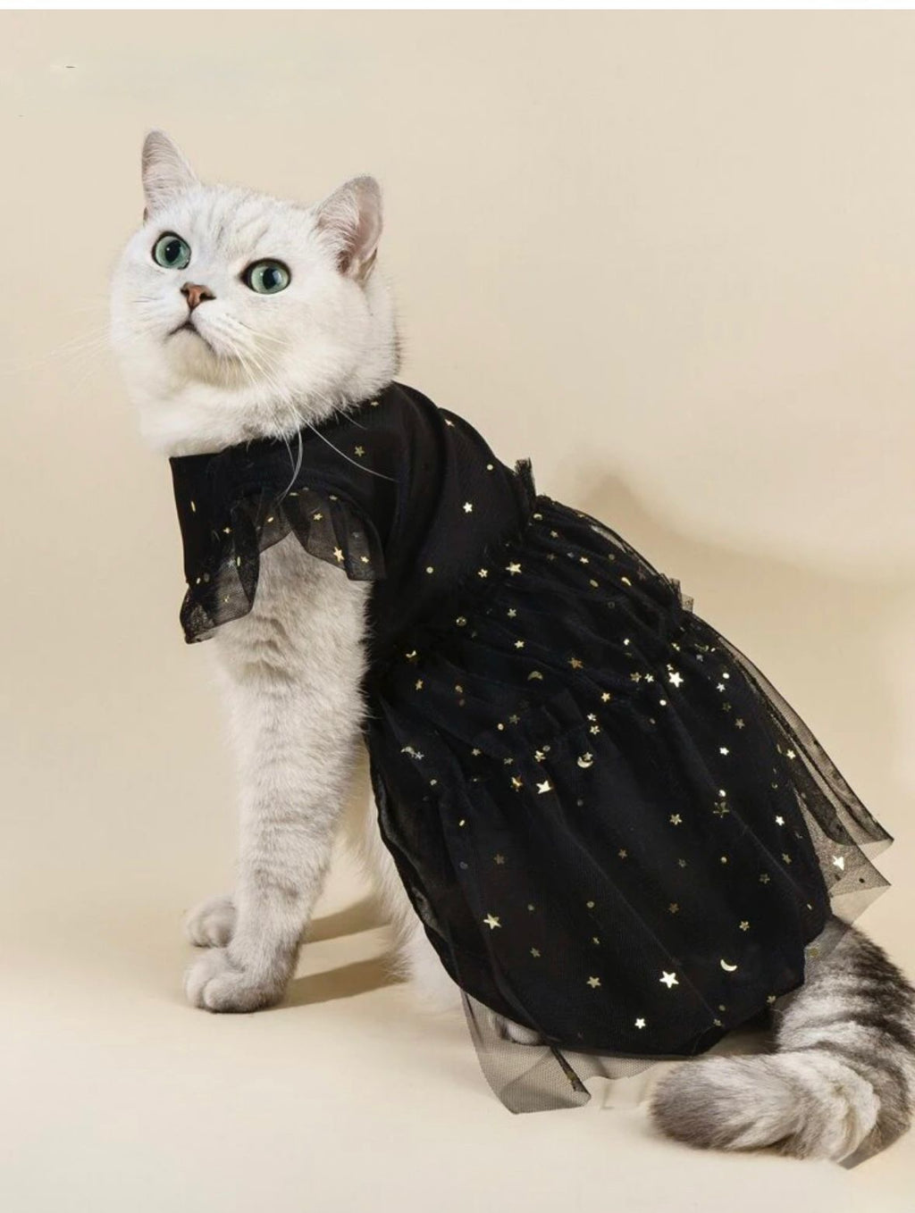 Vestido tutu negro estrellas doradas