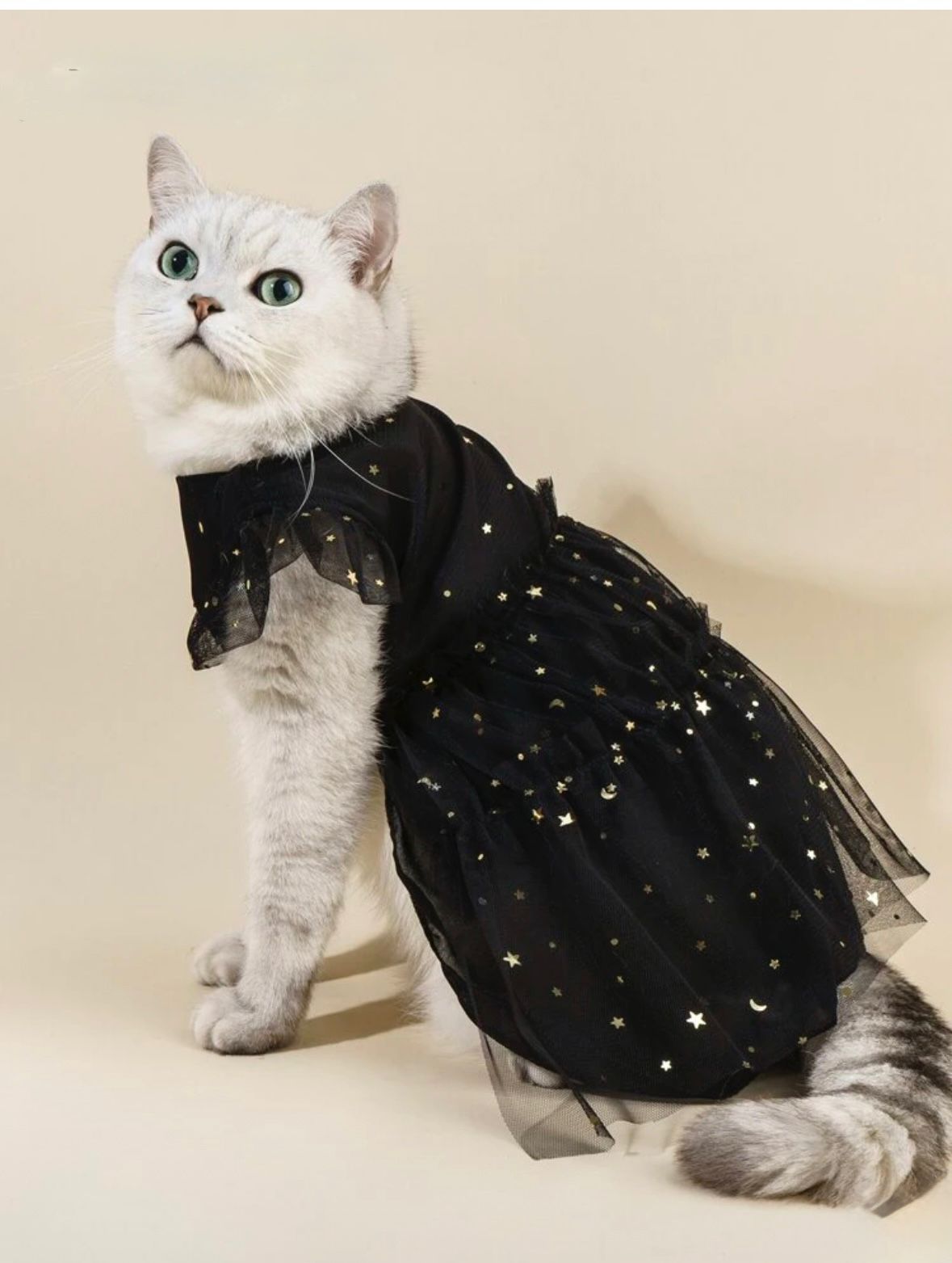 Vestido tutu negro estrellas doradas