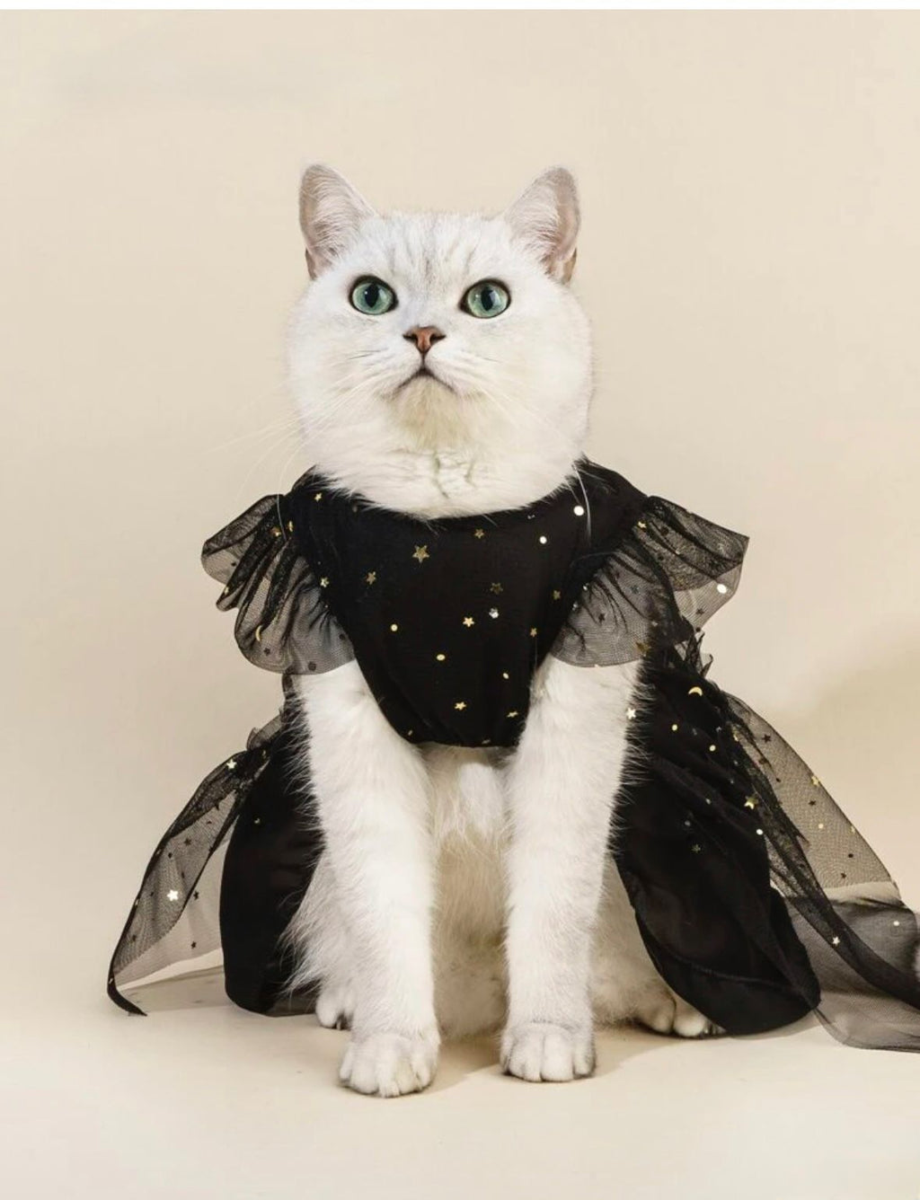 Vestido tutu negro estrellas doradas